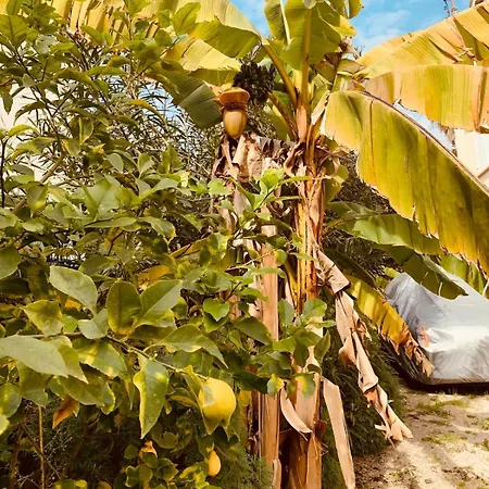 New Renovated Spacious 2 Bedroom Ac 300m From Juan-les-Pins